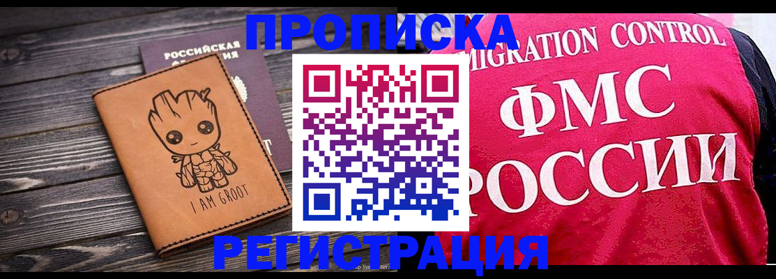 прописка 2025 в Могочи